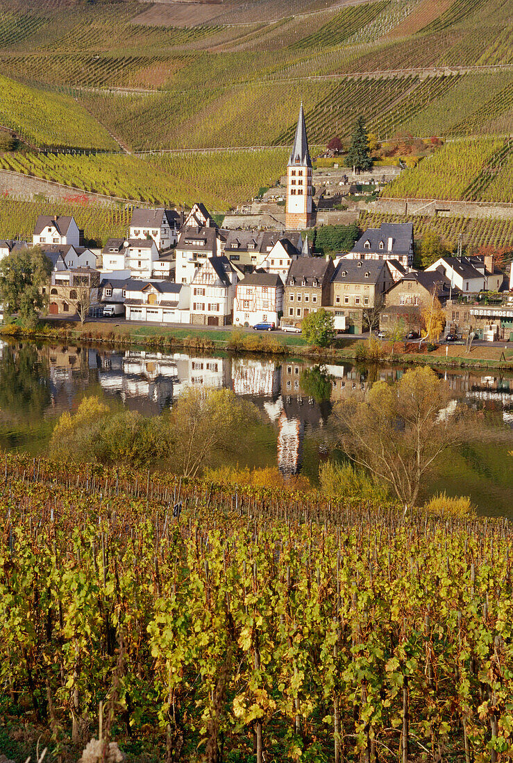 View over river Moselle to merl with vineyard, Zell, Rhineland-Palatinate, Germany