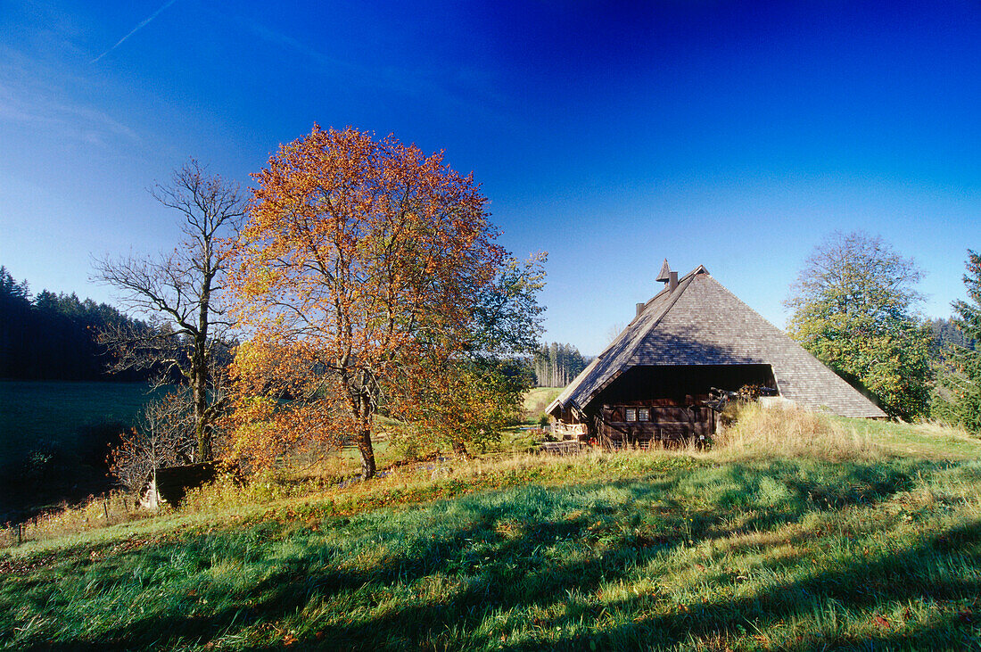 Farm near Furtwangen, Black Forest, Baden-Wurttemberg, Germany