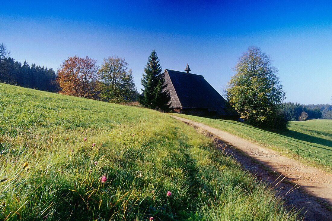 Farm near Furtwangen, Black Forest, Baden-Wurttemberg, Germany