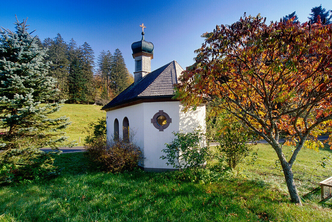 Chapel near St. Margen, Black Forest, Baden-Wurttemberg, Germany