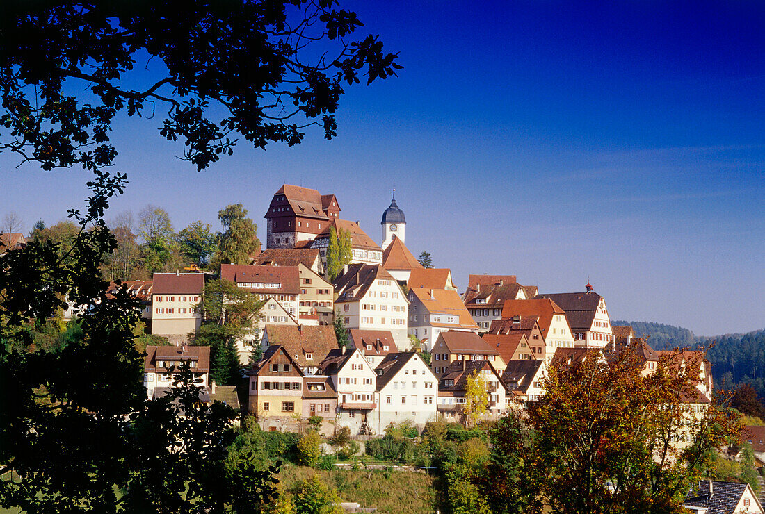 Blick auf Altensteig, Nordschwarzwald, Baden-Württemberg, Deutschland
