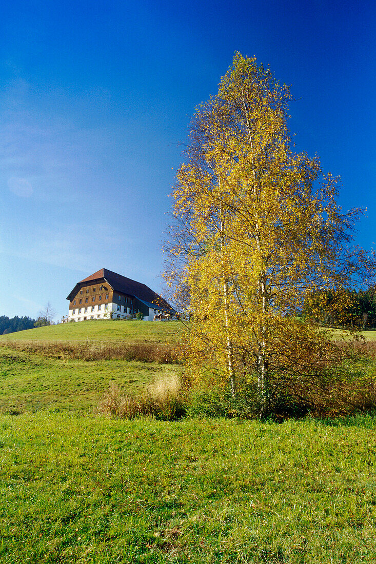 Farm near Breitnau, Black Forest, Baden-Württemberg, Germany