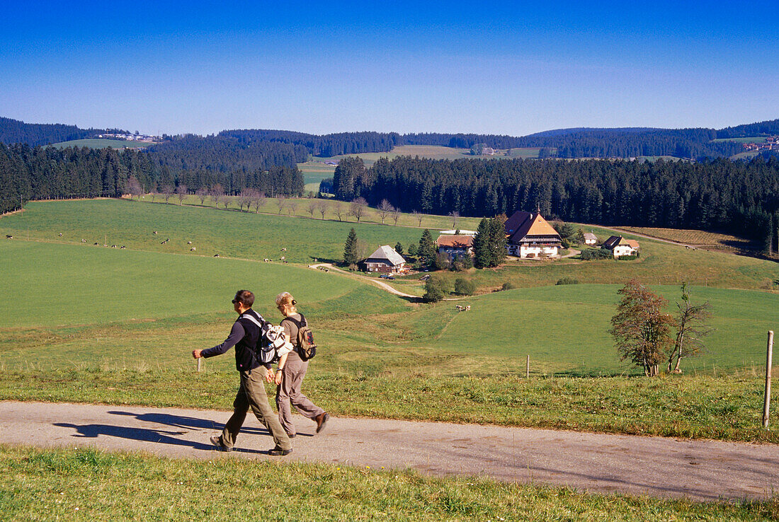 Schwarzwaldhof bei Furtwangen, zwei Wanderer im Vordergrund, Schwarzwald, Baden-Württemberg, Deutschland