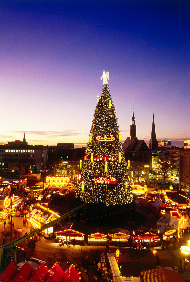 View over Christmas market with giant Christmas tree in the evening, Dortmund,  North Rhine-Westphalia, Germany