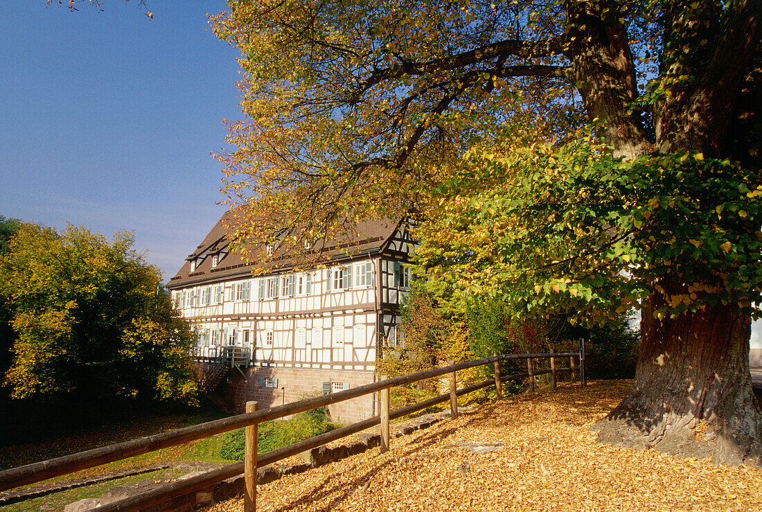 Half-timbered house near Hirsau Abbey, Calw, Black Forest, Baden-Wurttemberg, Germany