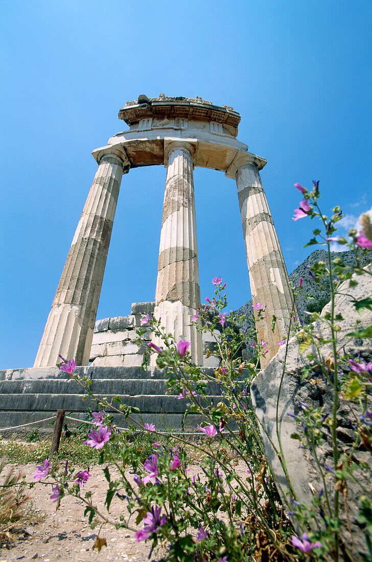Tholos at the sanctuary of Athena Pronaia, Delphi, Greece