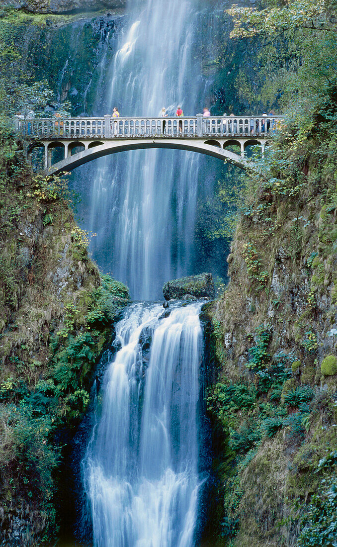 Wasserfall Multnomah Falls, Columbia River Gorge, Oregon, USA