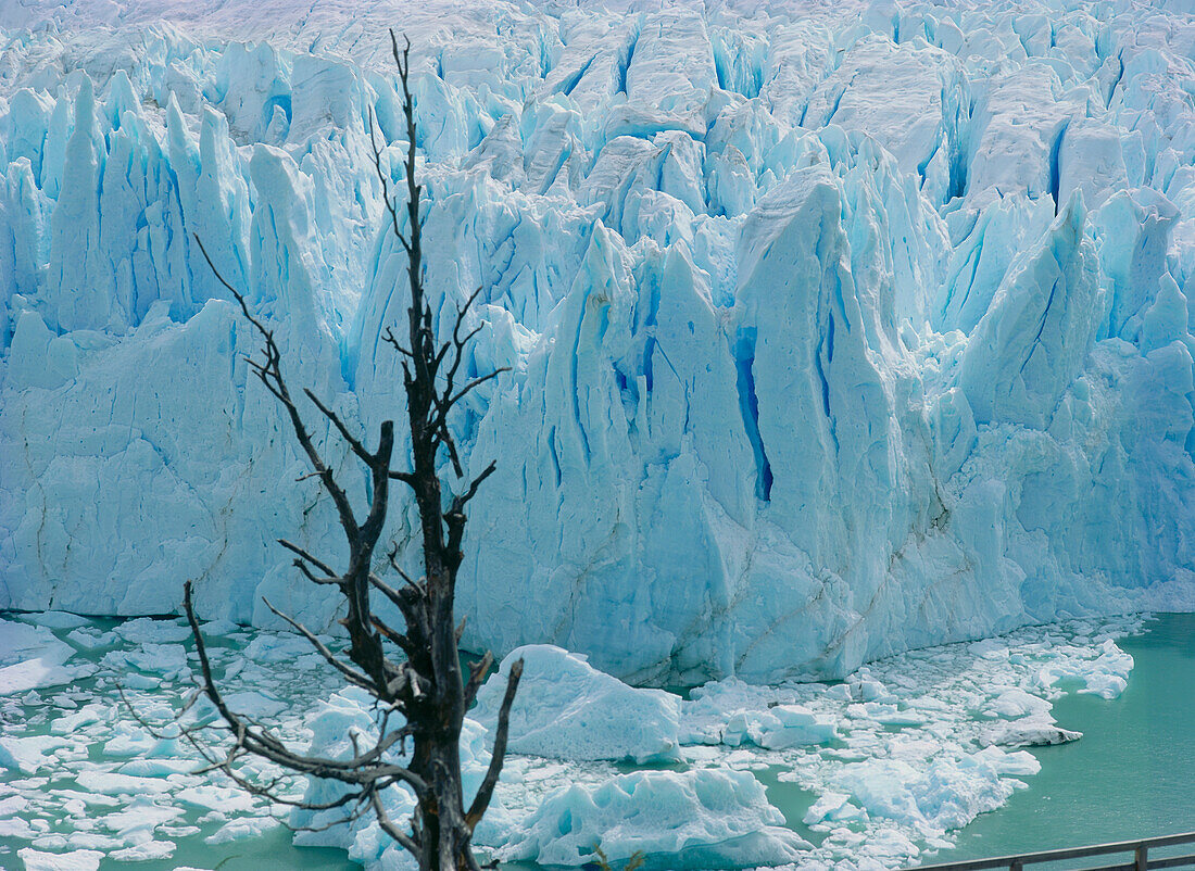 Perito Moreno Glacier, Lago Argentino, Los Glaciares National Park, Andes, Patagonia, Argentina, South America