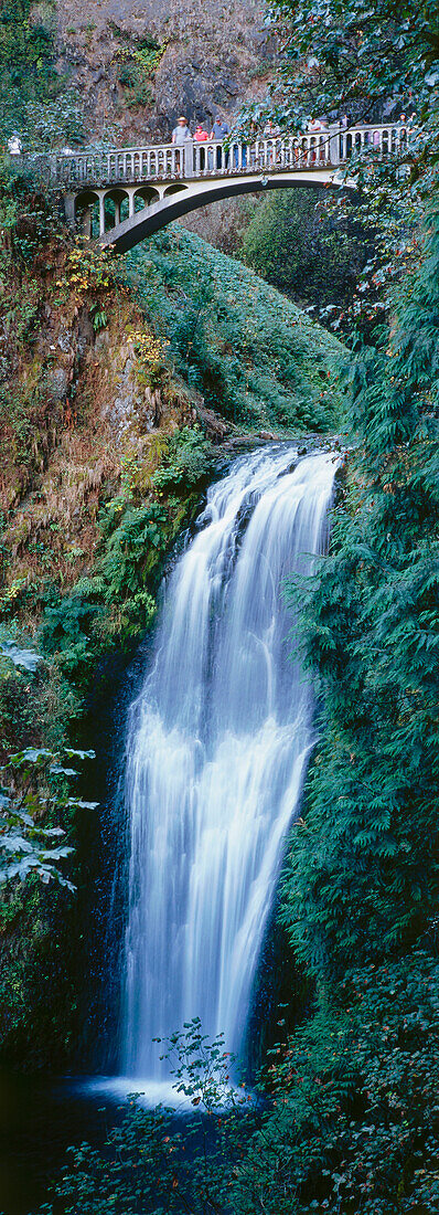 Wasserfall, Multnomah Falls, Columbia River Gorge, Oregon, USA