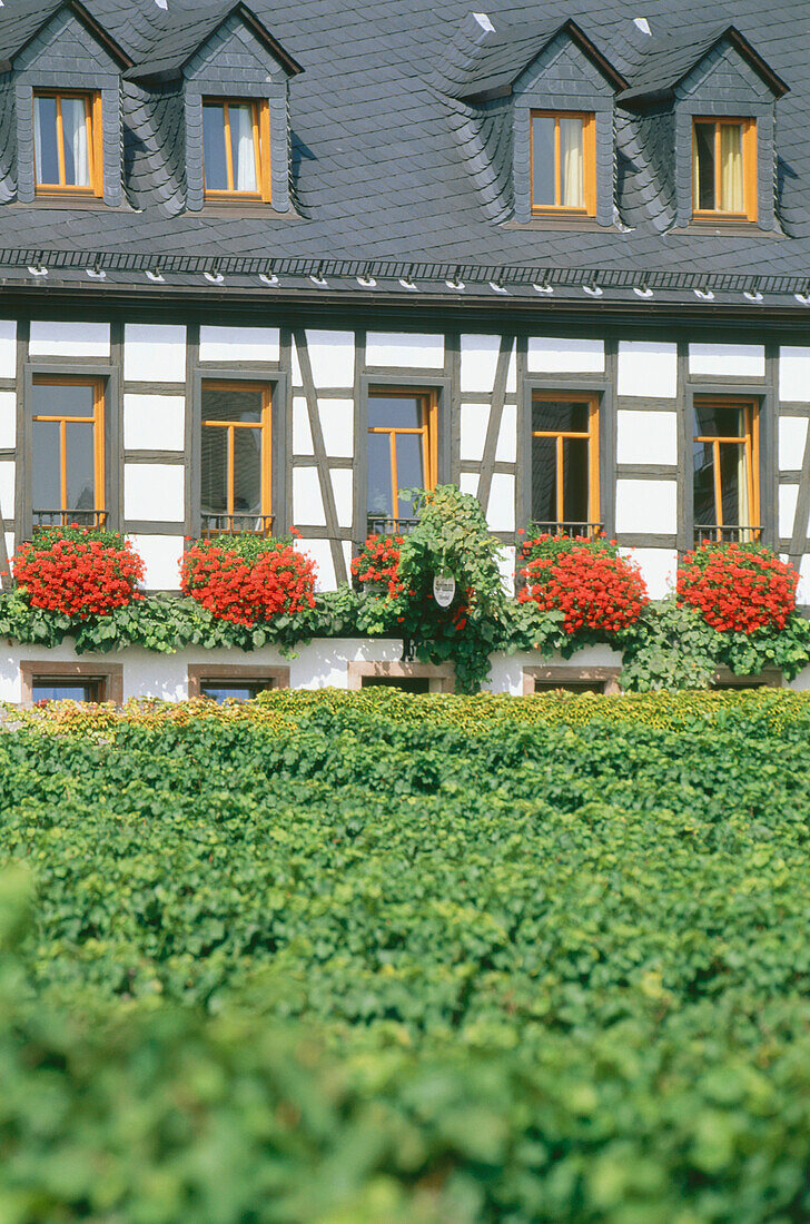 Blick auf ein Fachwerkhaus, Rheingau, Hessen, Deutschland