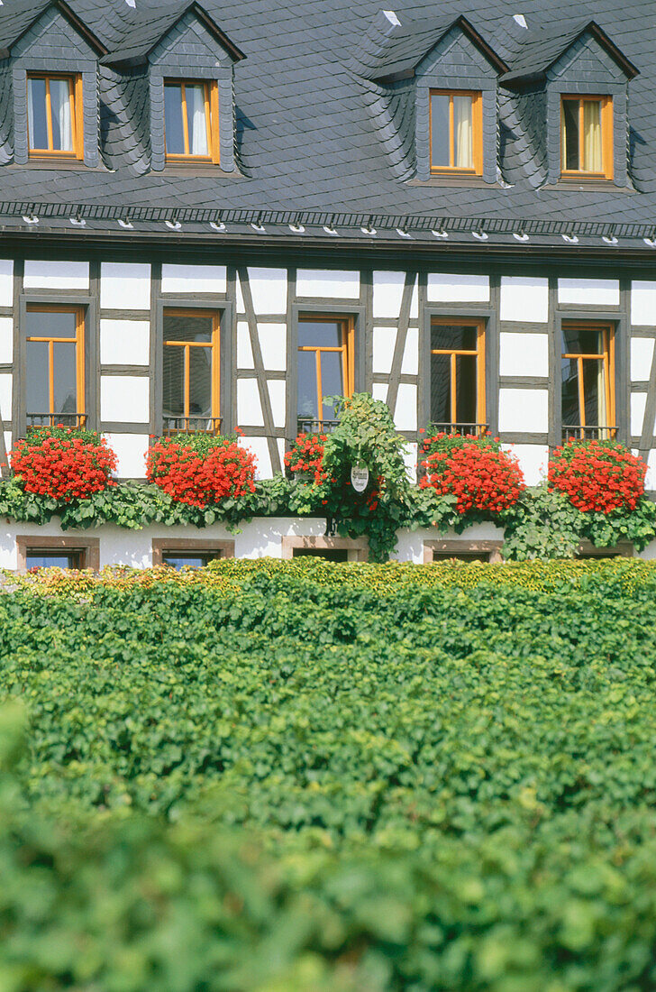 View to a timbered house, Rhine District, Hesse, Germany