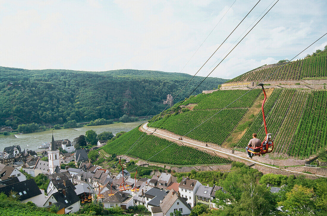 Persons in chair lift passing vineyard, Assmannshausen, Rhine District, Hesse, Germany