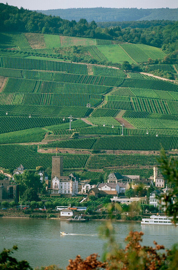 View over river Rhine to Rudesheim with vineyard, Rhine District, Hesse, Germany