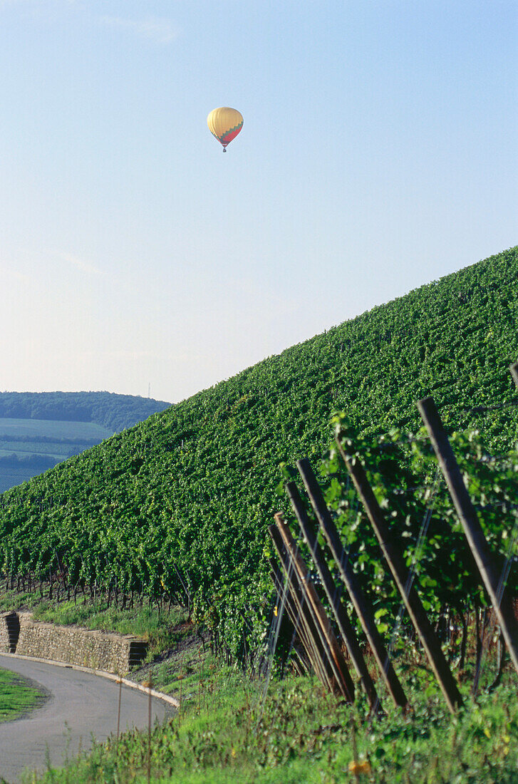 Heißluftballon über Weinberg Kaseler Nieschen, Kasel, Mosel-Saar-Ruwer, Rheinland-Pfalz, Deutschland