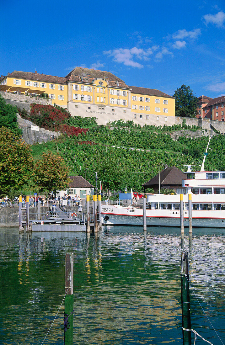 Weinberg Meersburger Rieschen, Ausflugsschiff ankert am Seeufer, Meersburg, Baden-Württemberg, Deutschland