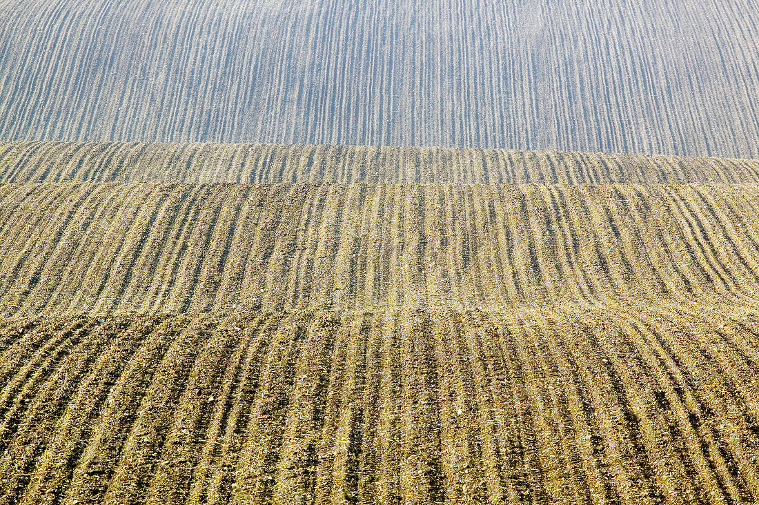 Cultivated fields in early spring. Sweden.