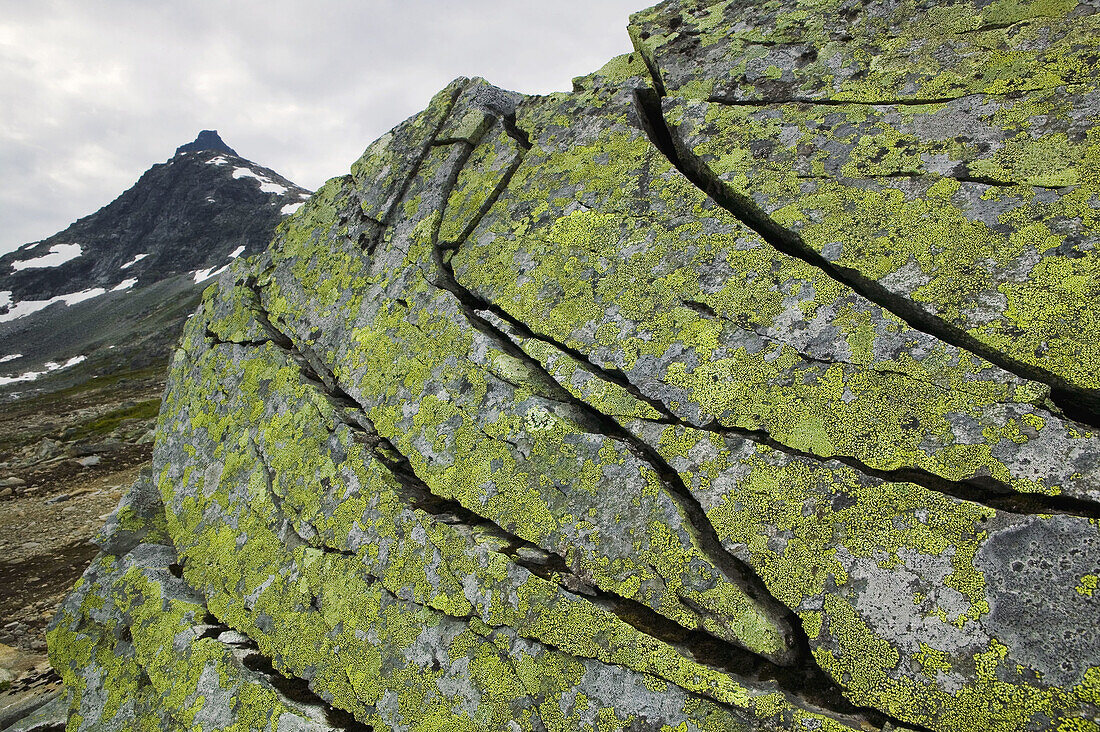 Cracks in rock eroded by extreme cold temperature. Jotunheimen National Park. Oppland, Norway. Falketind (2067 mt) in background.