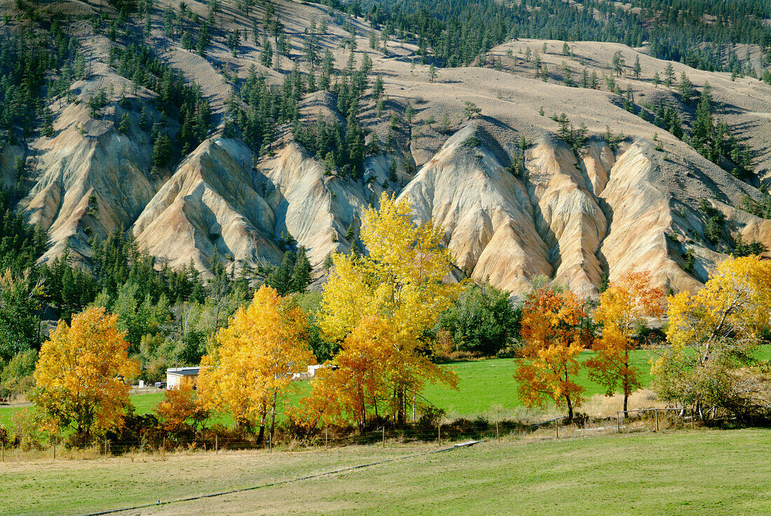 Fall foliage and hills. Clinton, British Columbia. Canada