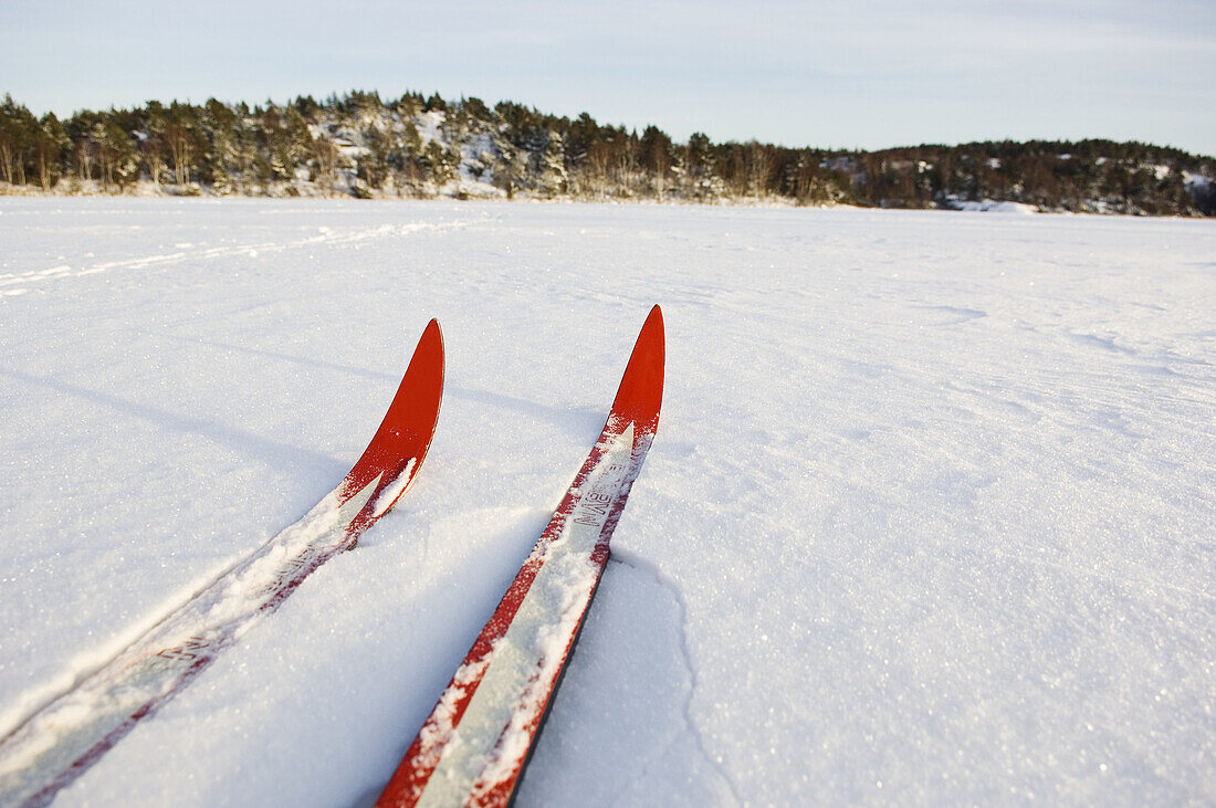 Red skis. Cross-country. Sweden