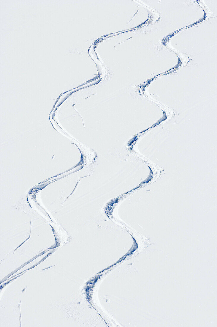 Ski tracks in fresh snow