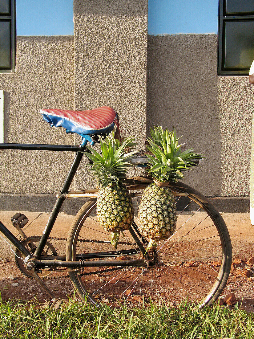 Bike and pineapples, Nakasongola District, Uganda.