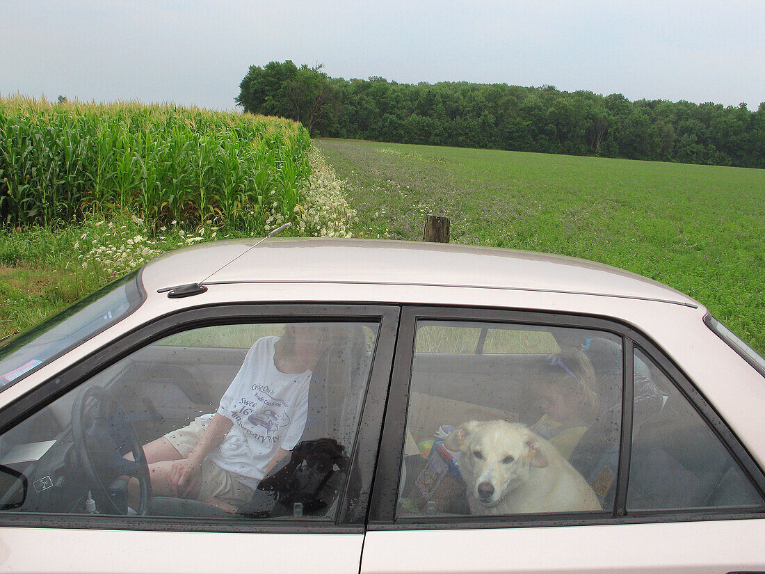 A mother, daughter and family dog stop for a break near a corn field during a family vacation.