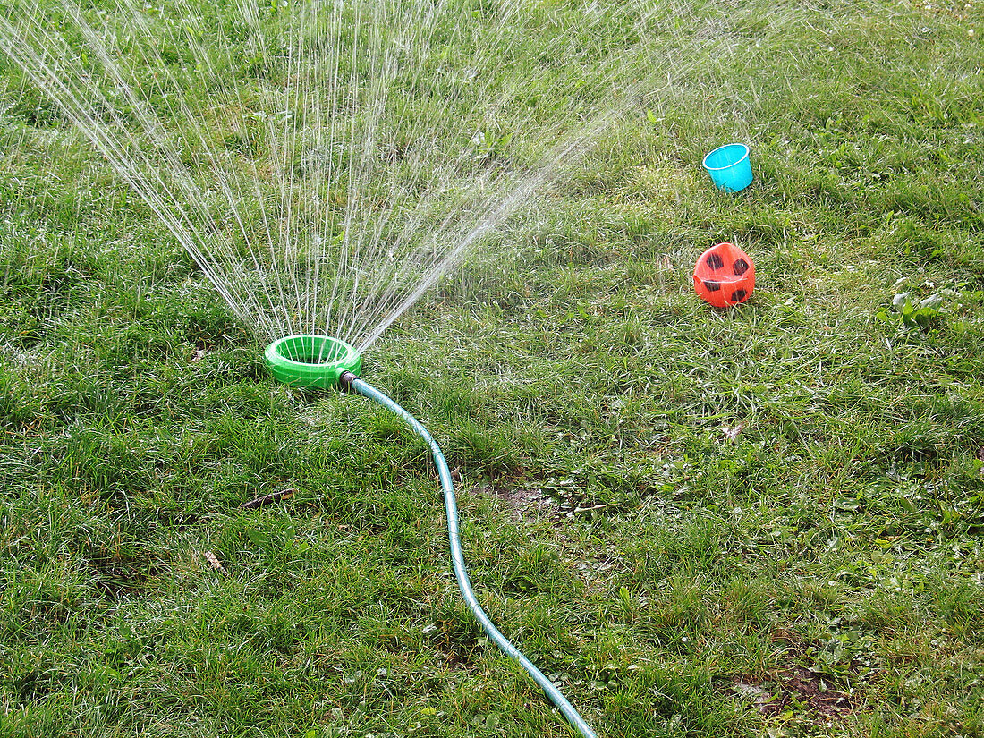 Sprinkler, ball and pail, Windsor, … – License image – 70158388 Image ...