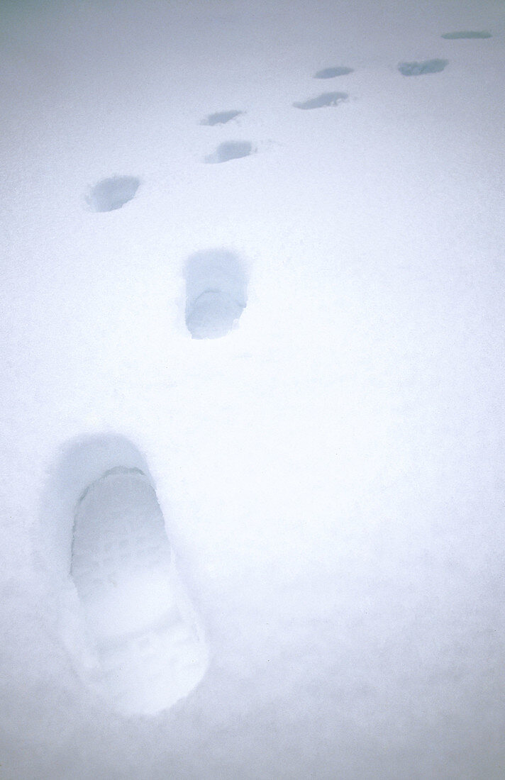 Footsteps in snow.