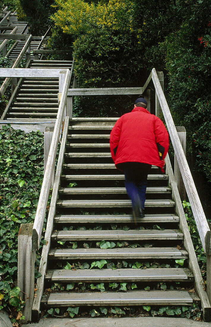 Man climbing outdoor wooden staircase, stairwell or steps.