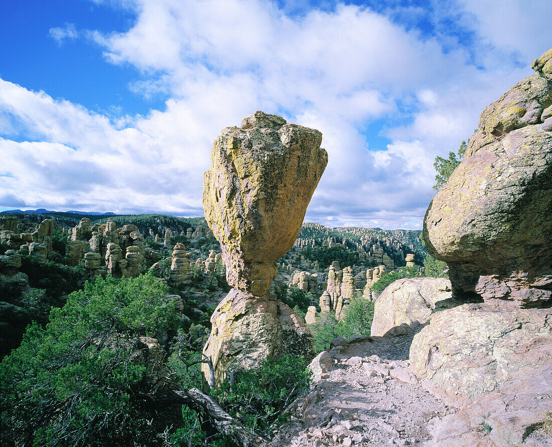 Chiricahua National Monument. Arizona. USA