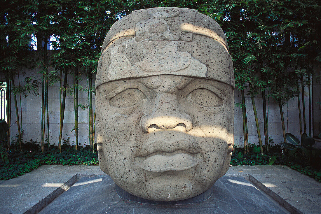 Colossal head at Archaeological Museum. Jalapa. Mexico
