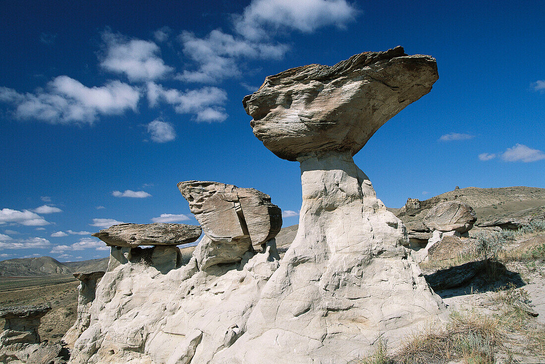 Sandstone caprocks. Upper Missouri River. Montana. USA