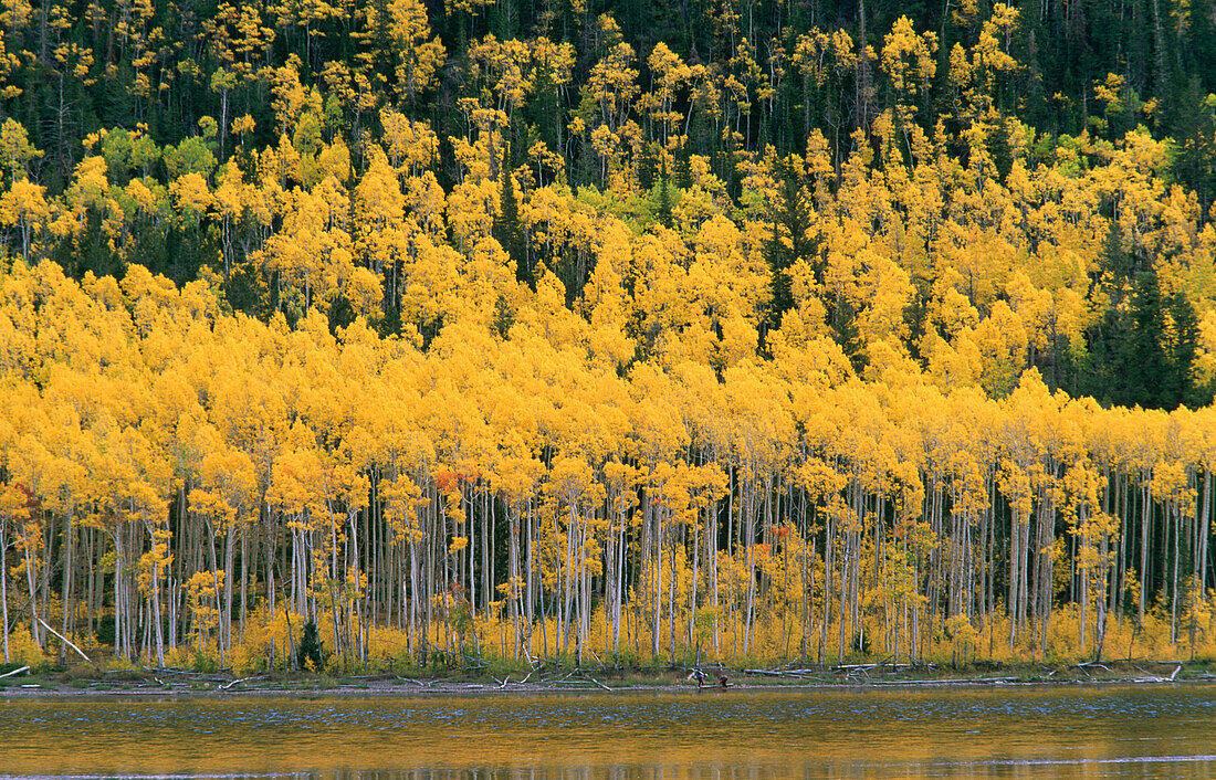 Fishlake at Wasatch Range. Utah. USA