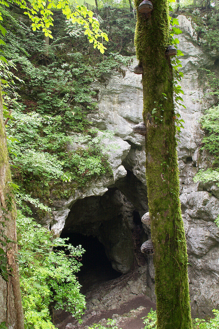 Zelske jame cave. Rakov Skocjan Nature Reserve. Slovenia