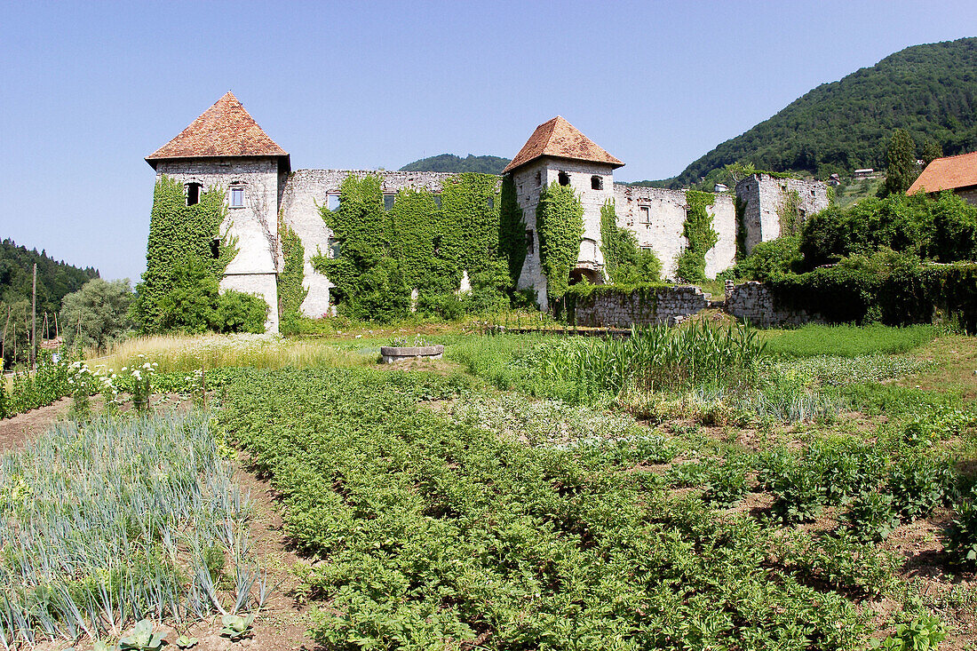 Grad Soteska castle ruins. Krka Valley. Slovenia