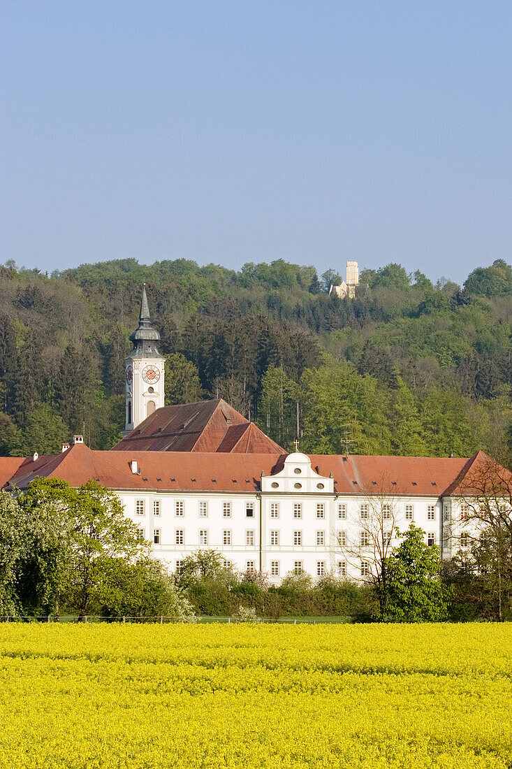 Kloster Schäftlarn (Benedictine abbey) and rape field. Upper Bavaria, Germany