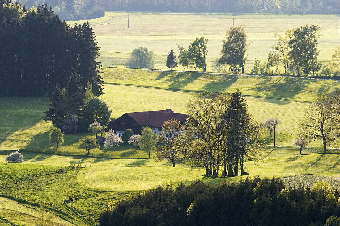 Iller river valley. Allgäu, Germany