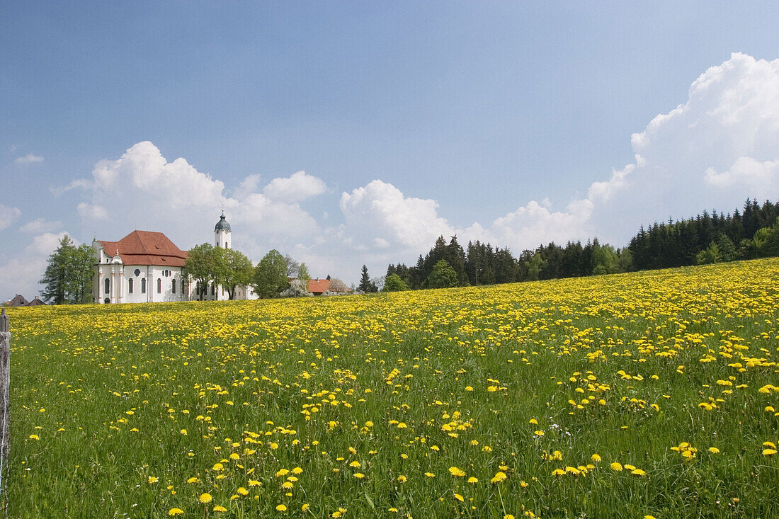 Wieskirche pilgrimage church of the Scourged Saviour. Steingaden. Bavaria, Germany