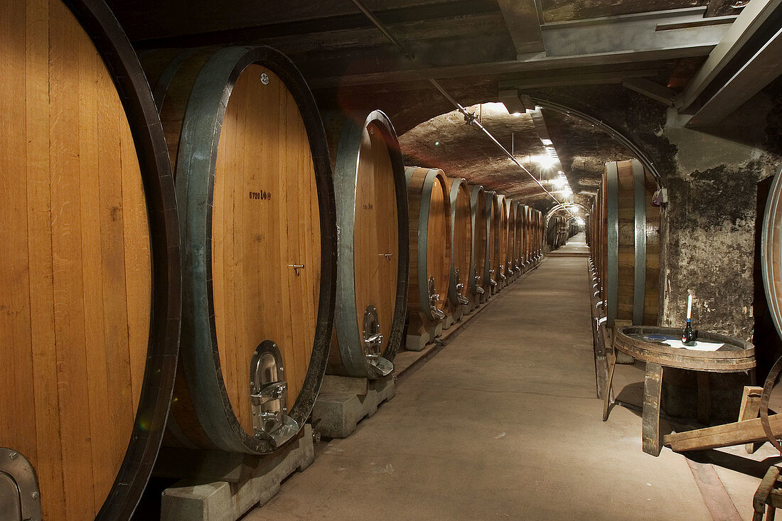 Wine cellar from Juliusspital vineyard, Würzburg, Franconia, Germany