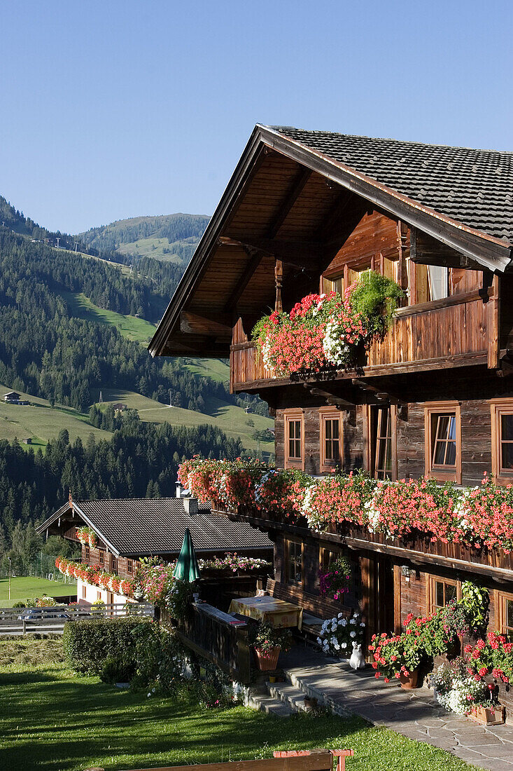 Alpbach Tyrol Austria