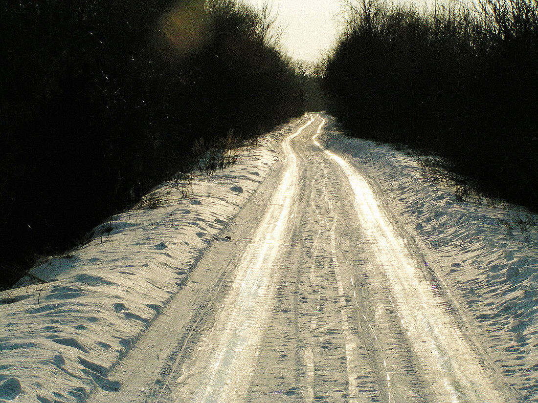 Road in winter