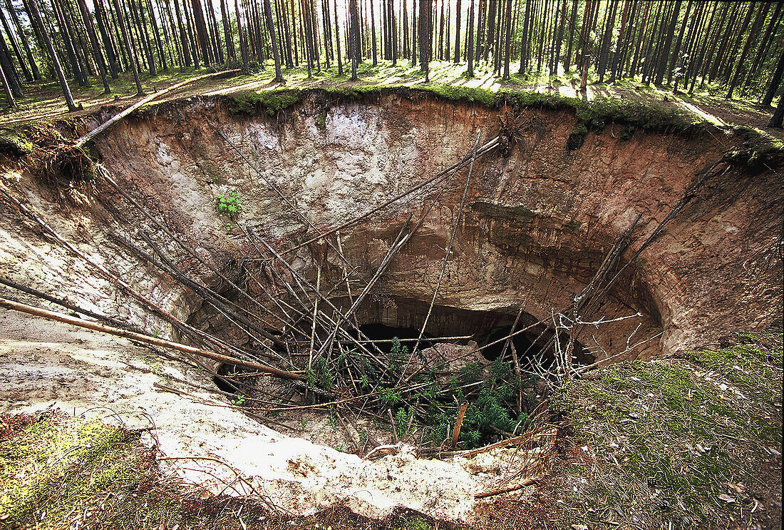  Außen, Baum, Bäume, Botanik, Dicht, Farbe, Landschaft, Landschaften, Loch, Löcher, Natur, Pflanze, Pflanzen, Scheit, Scheite, Tageszeit, Vegetation, Wald, Wälder, J20-475392, agefotostock 