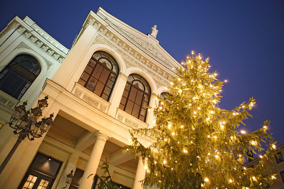 Beleuchteter Weihnachtsbaum vor dem Staatstheater am Gärtnerplatz, München, Bayern, Deutschland