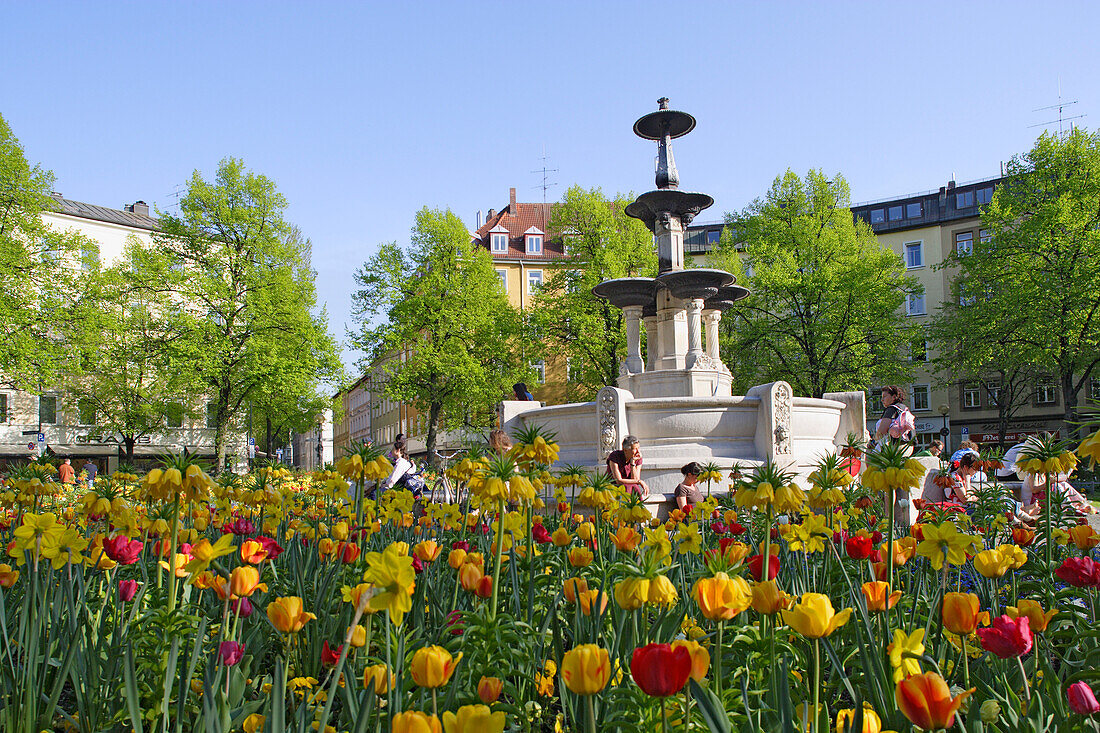 Menschen sitzen am Brunnen auf dem Weissenburger Platz, Tulpen im Vordergrund, Haidhausen, München, Bayern, Deutschland