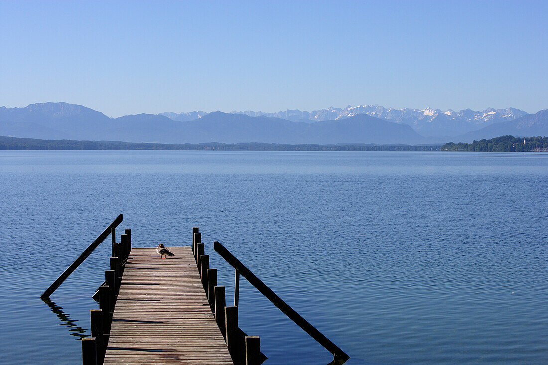 Bird sitting on a jetty, lake Starnberg, Tutzing, Bavaria, Germany