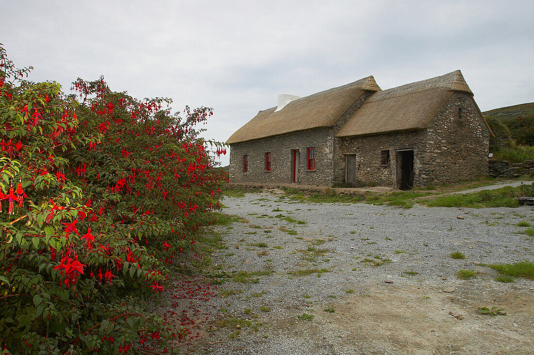 Außenaufnahme, Irish Famine Visitor Centre, Halbinsel Dingle, County Kerry, Irland, Europa