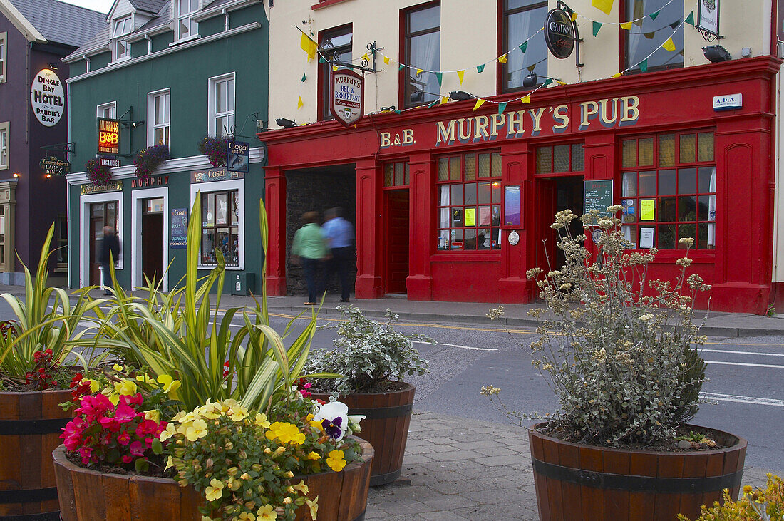 outdoor photo, houses and Murphy´s Pub in Dingle, Dingle Peninsula,  County Kerry, Ireland, Europe