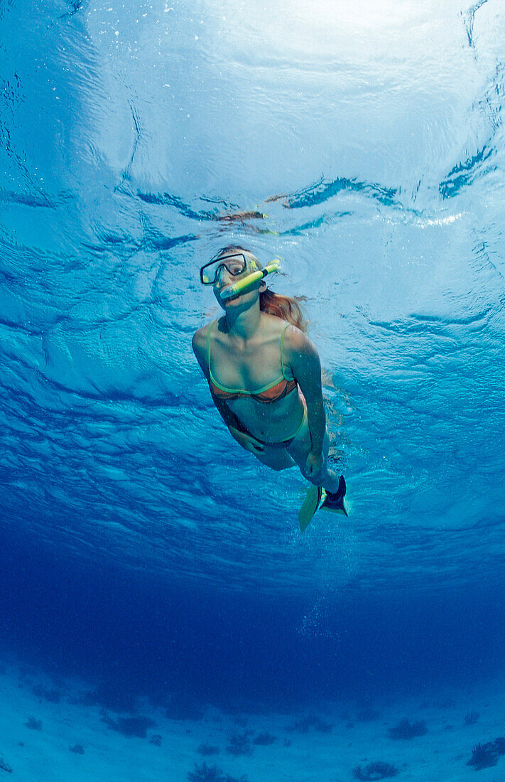 Snorkeling, Netherlands Antilles, Bonaire, Caribbean Sea