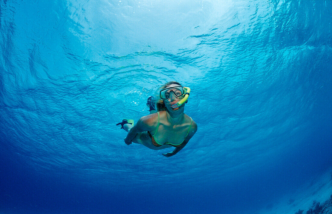 Snorkeling, Netherlands Antilles, Bonaire, Caribbean Sea