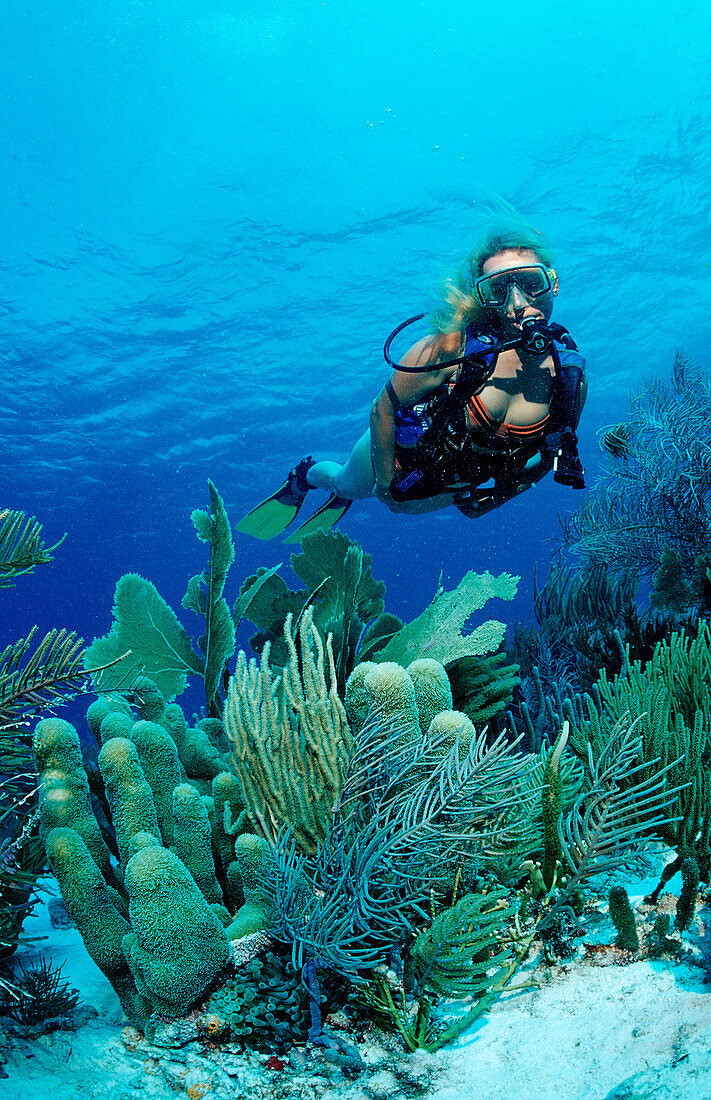 Scuba diver and coral reef, Netherlands Antilles, Bonaire, Caribbean Sea